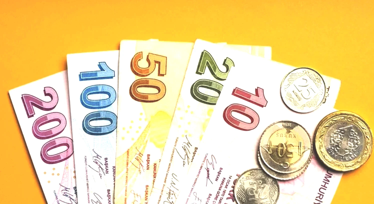 Girişimcilik Destek Programı