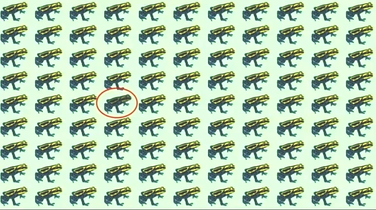 Çözmek için en az 30 IQ gerek! Resimdeki farklı kurbağayı 6 saniyede bulanlar dahi sayılıyor - Resim : 5