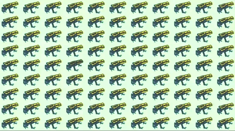 Çözmek için en az 30 IQ gerek! Resimdeki farklı kurbağayı 6 saniyede bulanlar dahi sayılıyor - Resim : 1