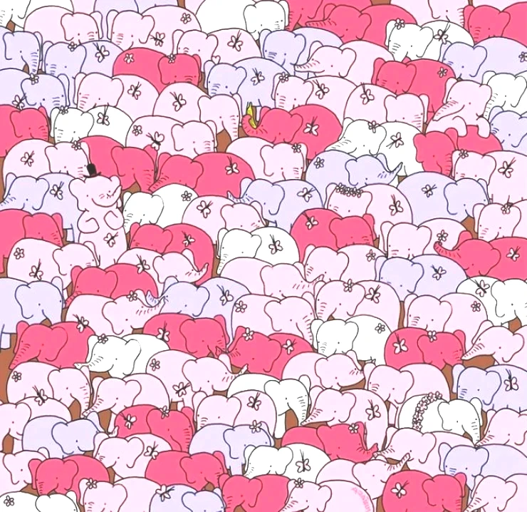 Kalp doktorları bile yanıldı! Resimde saklı kalbi yalnızca dahiler 5 saniyede bulmayı başardı - Resim : 1